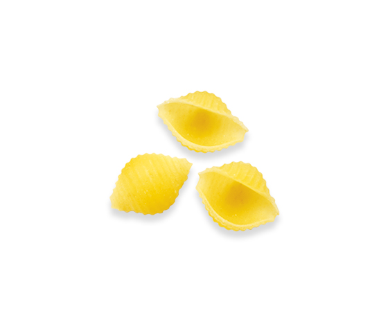 Spiga cut pastas shell