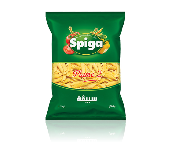 Spiga pâtes coupées plume 2